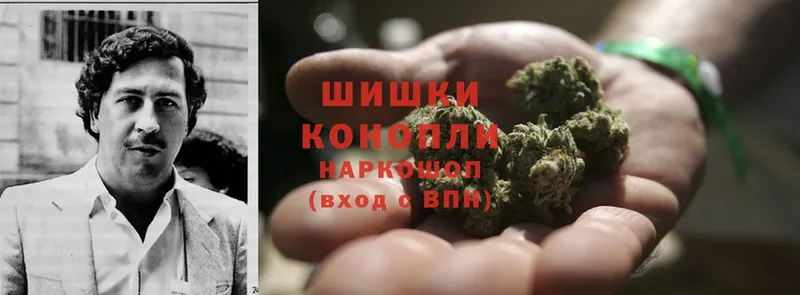 Бошки Шишки Ganja  где купить наркоту  Богучар 